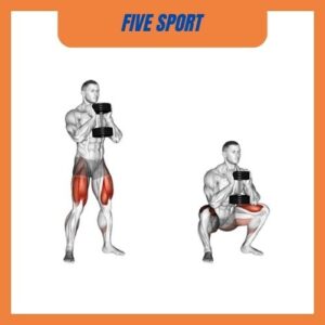 Tập chân với tạ đơn bài 1 Dumbbell Goblet Squat